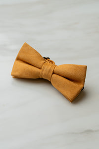 B156YW Yellow Cotton Bow Tie