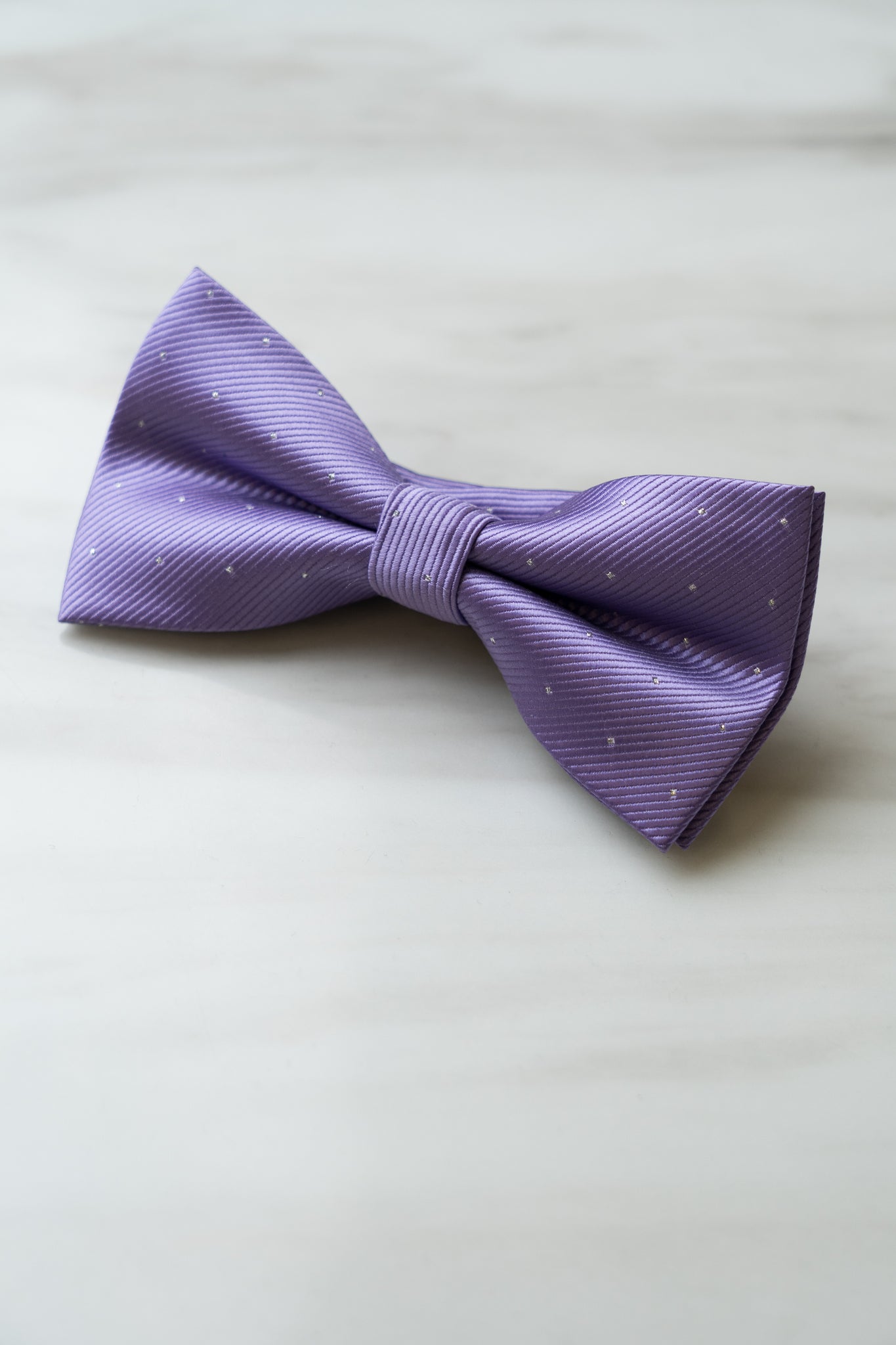 B101PU Purple Dots Bow Tie