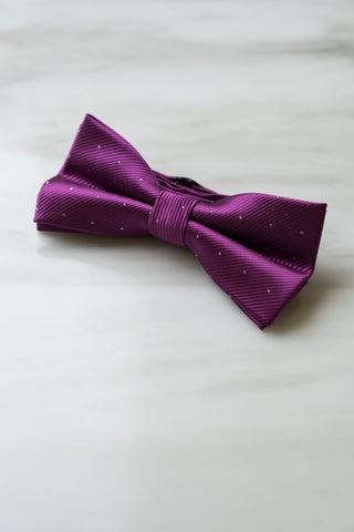B102PU Dark Purple Dots Bow Tie